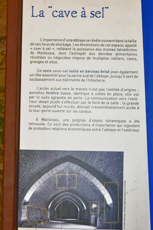 min 2025 06 08 Marais Poitevin 175